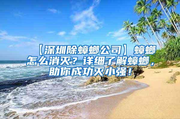 【深圳除蟑螂公司】蟑螂怎么消滅？詳細(xì)了解蟑螂，助你成功滅小強(qiáng)！
