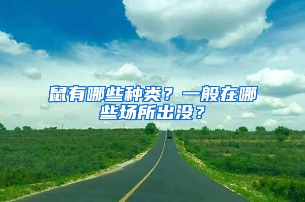 鼠有哪些種類？一般在哪些場所出沒？