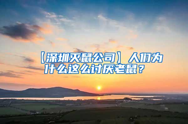 【深圳滅鼠公司】人們?yōu)槭裁催@么討厭老鼠？