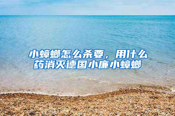 小蟑螂怎么殺要，用什么藥消滅德國(guó)小廉小蟑螂