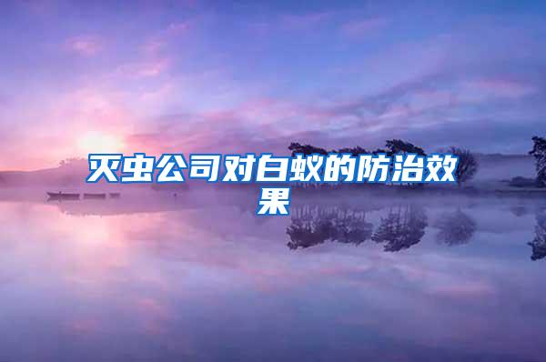 滅蟲(chóng)公司對(duì)白蟻的防治效果