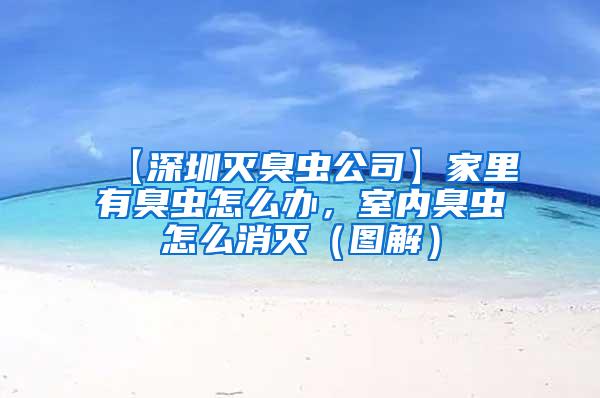 【深圳滅臭蟲公司】家里有臭蟲怎么辦，室內(nèi)臭蟲怎么消滅（圖解）