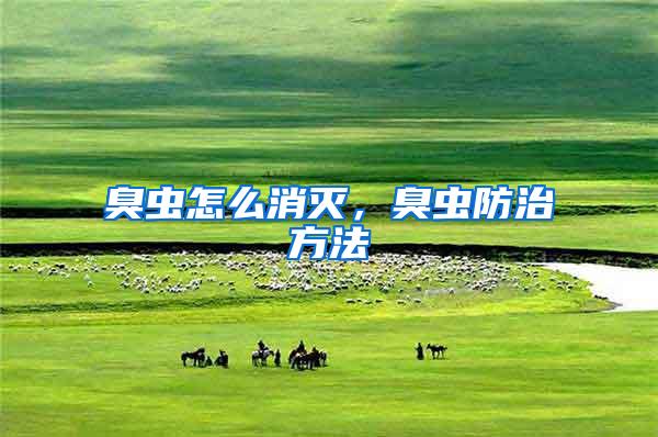 臭蟲怎么消滅,臭蟲防治方法