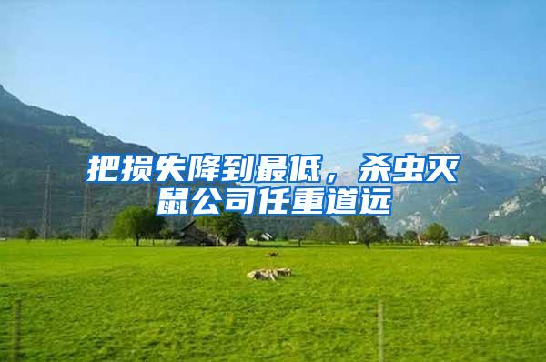 把損失降到最低,殺蟲滅鼠公司任重道遠(yuǎn)