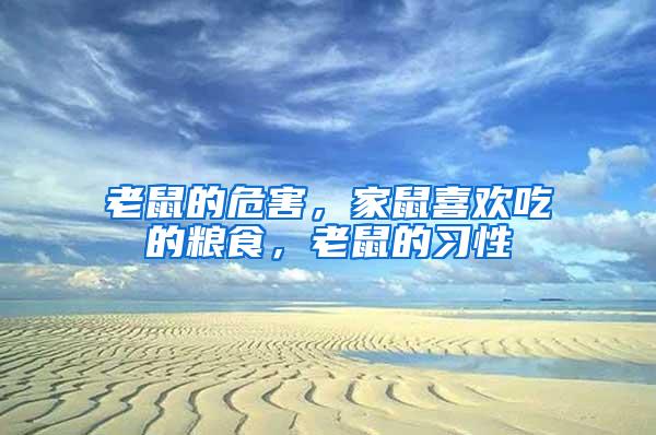 老鼠的危害，家鼠喜歡吃的糧食，老鼠的習(xí)性