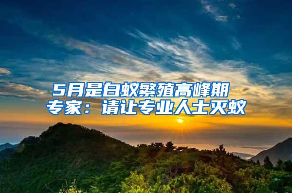 5月是白蟻繁殖高峰期 專家:請(qǐng)讓專業(yè)人士滅蟻