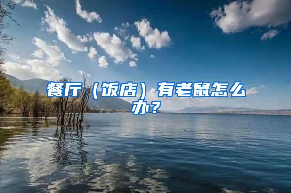 餐廳(飯店)有老鼠怎么辦?