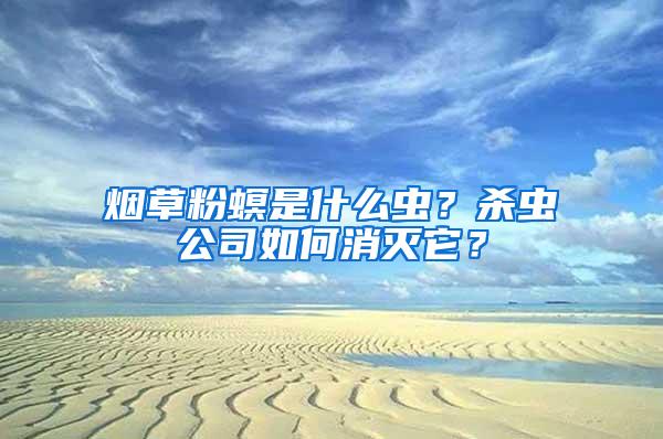 煙草粉螟是什么蟲？殺蟲公司如何消滅它？
