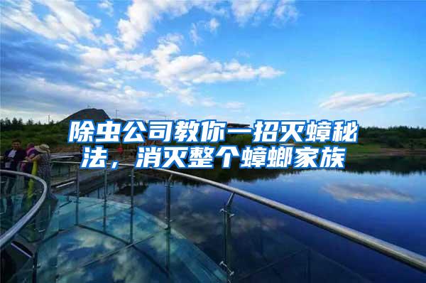 除蟲(chóng)公司教你一招滅蟑秘法，消滅整個(gè)蟑螂家族