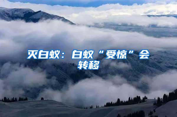 滅白蟻：白蟻“受驚”會轉(zhuǎn)移