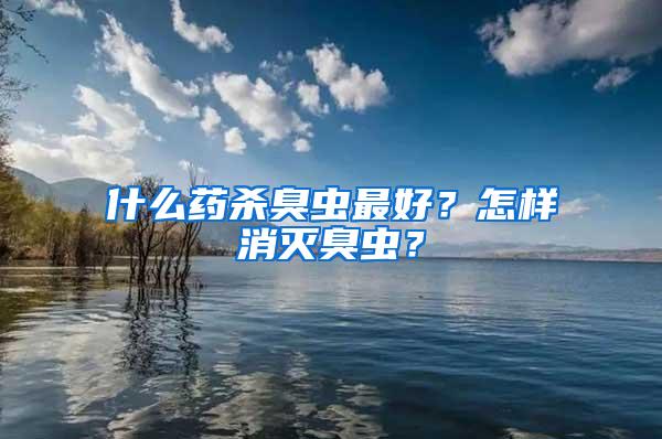 什么藥殺臭蟲最好？怎樣消滅臭蟲？