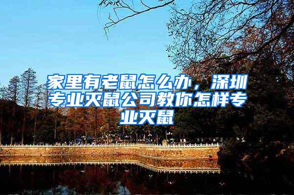 家里有老鼠怎么辦，深圳專業(yè)滅鼠公司教你怎樣專業(yè)滅鼠