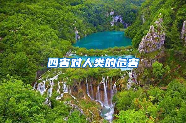 四害對(duì)人類(lèi)的危害