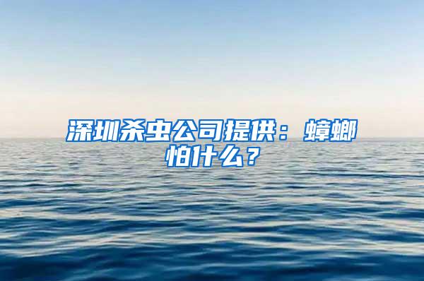 深圳殺蟲公司提供：蟑螂怕什么？
