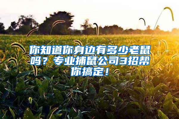 你知道你身邊有多少老鼠嗎？專業(yè)捕鼠公司3招幫你搞定！