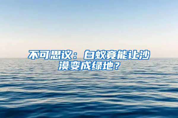 不可思議：白蟻竟能讓沙漠變成綠地？