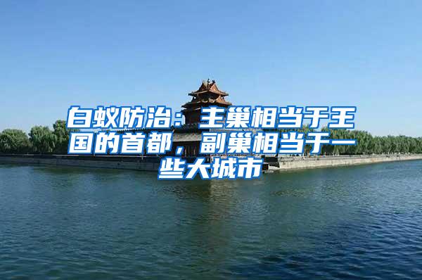 白蟻防治：主巢相當(dāng)于王國(guó)的首都，副巢相當(dāng)于一些大城市