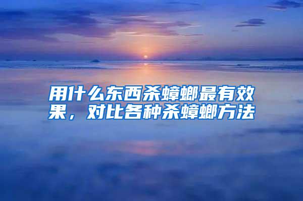 用什么東西殺蟑螂最有效果，對(duì)比各種殺蟑螂方法