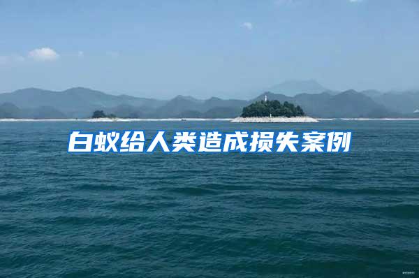 白蟻給人類造成損失案例