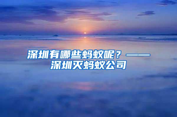深圳有哪些螞蟻呢？——深圳滅螞蟻公司
