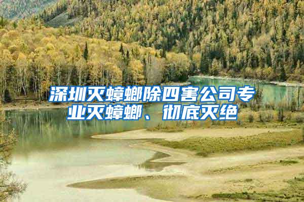 深圳滅蟑螂除四害公司專業(yè)滅蟑螂、徹底滅絕