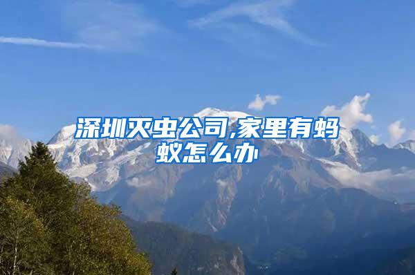 深圳滅蟲(chóng)公司,家里有螞蟻怎么辦