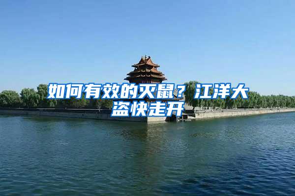 如何有效的滅鼠?江洋大盜快走開