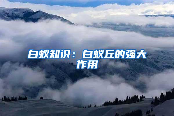 白蟻知識:白蟻丘的強大作用