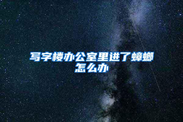 寫字樓辦公室里進了蟑螂怎么辦