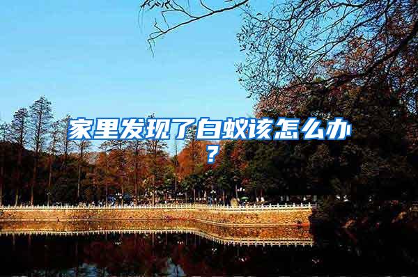 家里發(fā)現(xiàn)了白蟻該怎么辦？