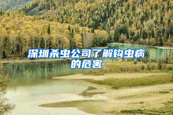 深圳殺蟲(chóng)公司了解鉤蟲(chóng)病的危害