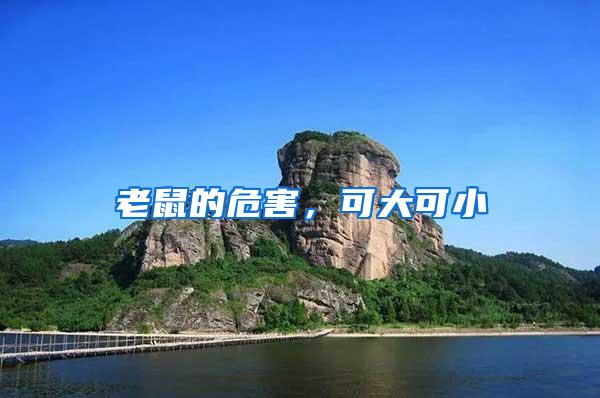 老鼠的危害，可大可小