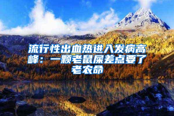 流行性出血熱進入發(fā)病高峰：一顆老鼠屎差點要了老農(nóng)命