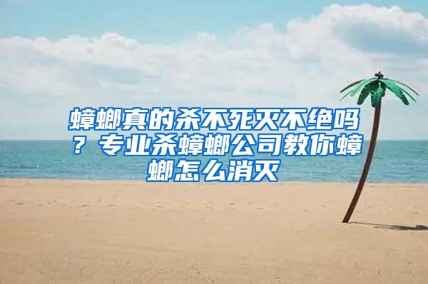蟑螂真的殺不死滅不絕嗎？專業(yè)殺蟑螂公司教你蟑螂怎么消滅