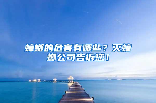 蟑螂的危害有哪些？滅蟑螂公司告訴您！
