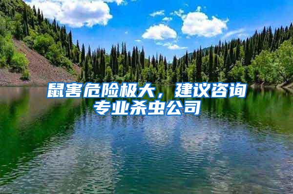 鼠害危險(xiǎn)極大，建議咨詢專業(yè)殺蟲(chóng)公司