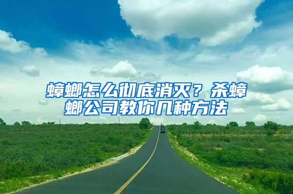 蟑螂怎么徹底消滅？殺蟑螂公司教你幾種方法