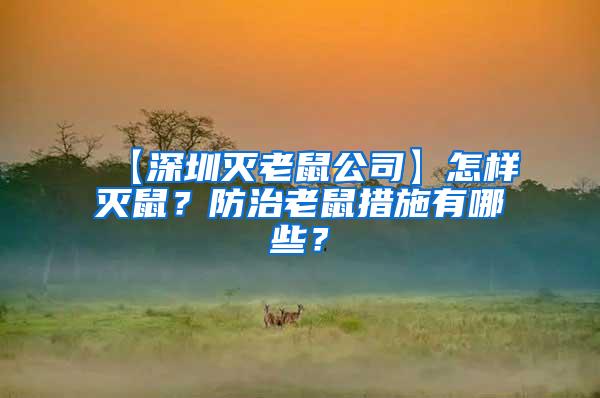 【深圳滅老鼠公司】怎樣滅鼠？防治老鼠措施有哪些？