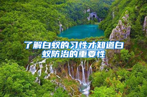 了解白蟻的習性才知道白蟻防治的重要性