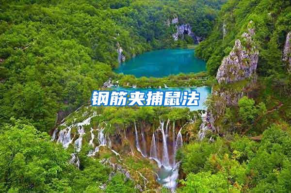 鋼筋?yuàn)A捕鼠法