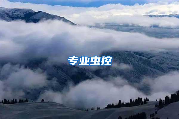 專業(yè)蟲(chóng)控