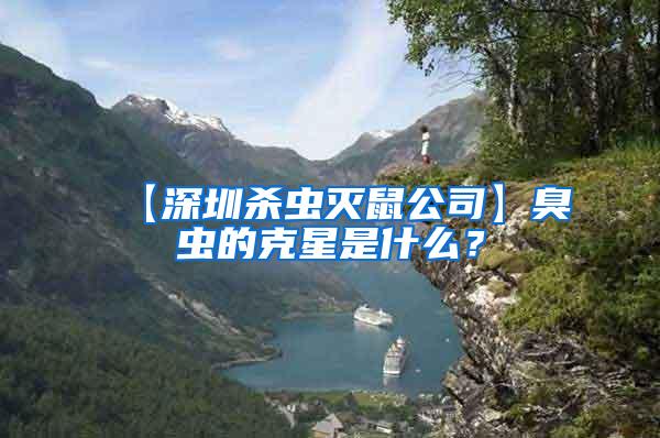 【深圳殺蟲(chóng)滅鼠公司】臭蟲(chóng)的克星是什么？