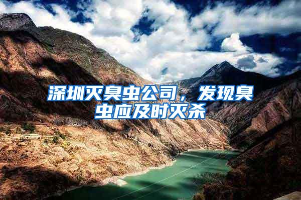 深圳滅臭蟲公司，發(fā)現(xiàn)臭蟲應(yīng)及時(shí)滅殺