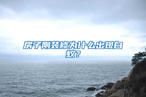 房子剛裝修為什么出現(xiàn)白蟻？