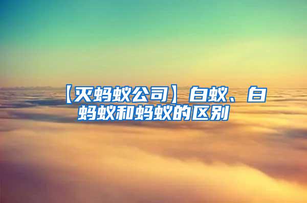 【滅螞蟻公司】白蟻、白螞蟻和螞蟻的區(qū)別