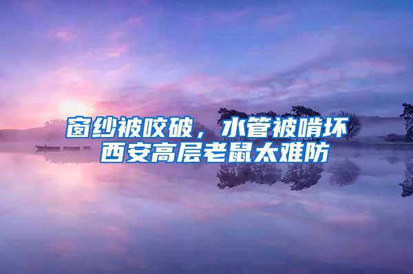 窗紗被咬破，水管被啃壞 西安高層老鼠太難防