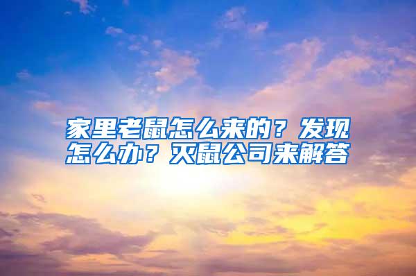 家里老鼠怎么來的？發(fā)現(xiàn)怎么辦？滅鼠公司來解答