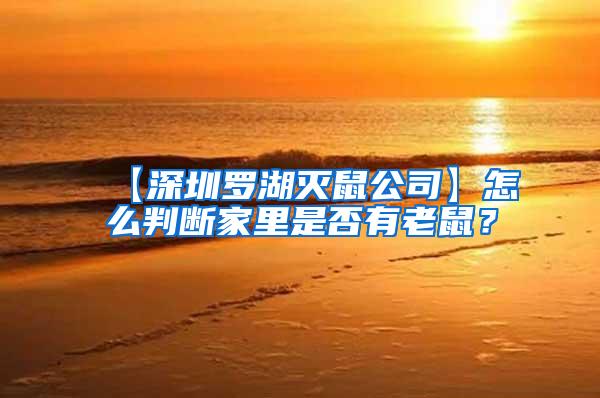 【深圳羅湖滅鼠公司】怎么判斷家里是否有老鼠？