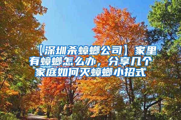 【深圳殺蟑螂公司】家里有蟑螂怎么辦，分享幾個(gè)家庭如何滅蟑螂小招式