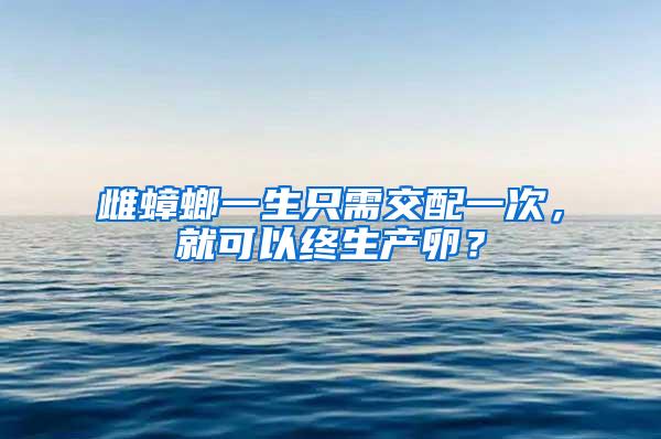 雌蟑螂一生只需交配一次，就可以終生產(chǎn)卵？